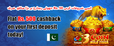 خوش آمدید بونس: 100% میچ promotion