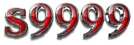 pks9999.com Logo